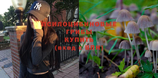 первитин Алексеевка
