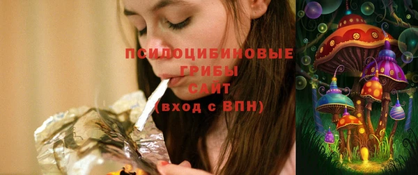 синтетический гашиш Алексин