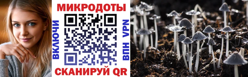 Галлюциногенные грибы мицелий  как найти наркотики  Билибино 